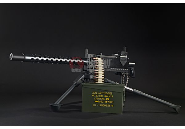 RWA M1919 AEG