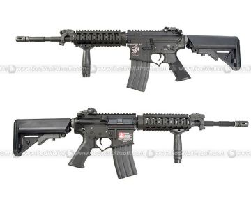 G&P M4 RAS