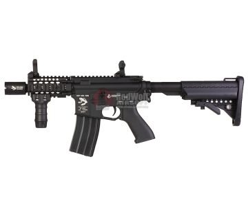 G&P Cracker AEG