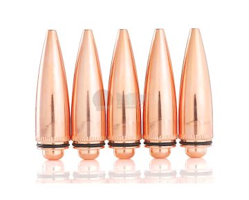 SAT Dummy Cartridges for Socom Gear M107
