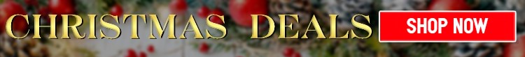 Christmas Deals